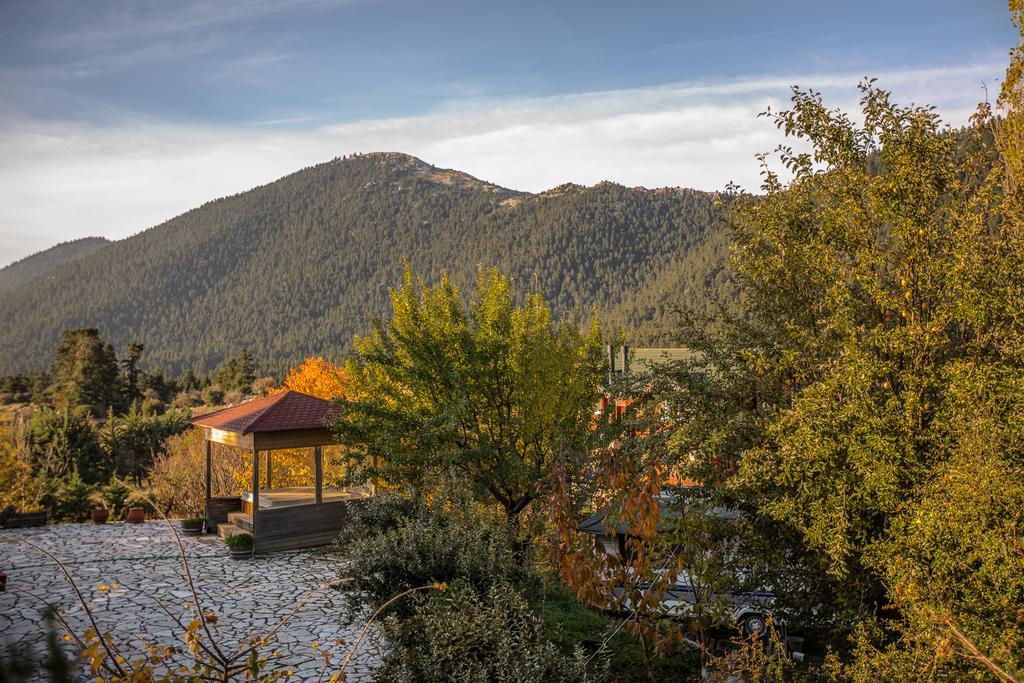 Boutique Hotel Skamnos アラコバ エクステリア 写真